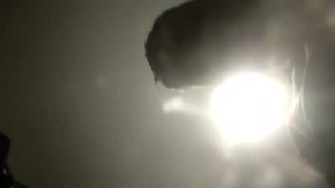 Snapshot of bobby160968 chatting on 02-24-25, 06:26 bobby160968 online show from 02-24-25, 06:26