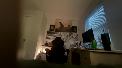 Snapshot of bobbyjones88034 chatting on 03-27-26, 12:05 Luv bug online show from 03-27-26, 12:05