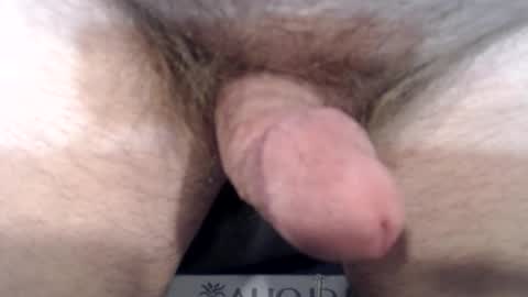 bobswan online show from 12-22-24, 03:55