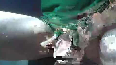 Snapshot of bogey58 chatting on 12-08-24, 02:09 bogey58 online show from 12-08-24, 02:09