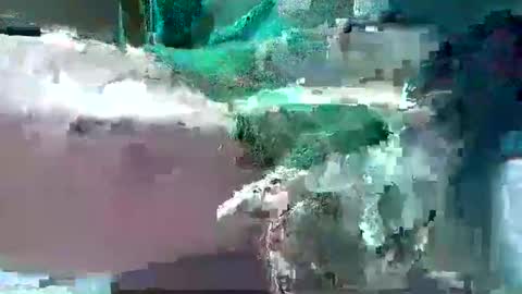 Snapshot of bogey58 chatting on 02-12-25, 04:11 bogey58 online show from 02-12-25, 04:11