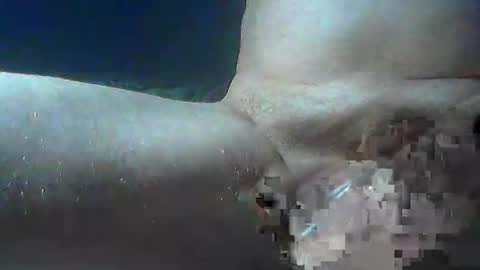 Snapshot of bogey58 chatting on 10-15-25, 12:27 bogey58 online show from 10-15-25, 12:27