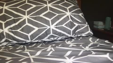 boldlust online show from 12-11-24, 02:52