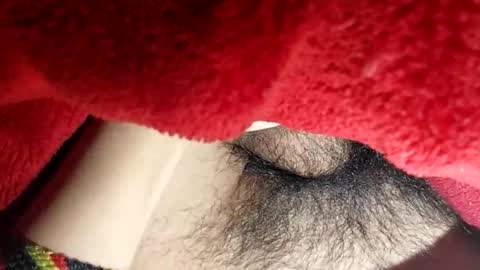 Snapshot of boloski7 chatting on 12-20-25, 06:42 Boloski7 online show from 12-20-25, 06:42