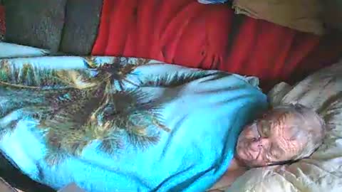 Bomber59potsdam online show from 01-25-25, 11:02