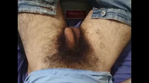Snapshot of bomvemcam chatting on 10-15-25, 08:03 Im Bom - Tip if You Liked my Hairy Body - Private Show is Open - Read more about me in the bio below online show from 10-15-25, 08:03