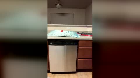 boner521 online show from 06-06-26, 11:15