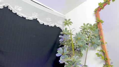   online show from 03-21-26, 12:15