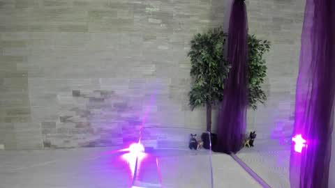 boobzilla_ online show from 02-02-26, 05:50