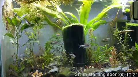 Booker Baxton online show from 09-23-25, 02:58