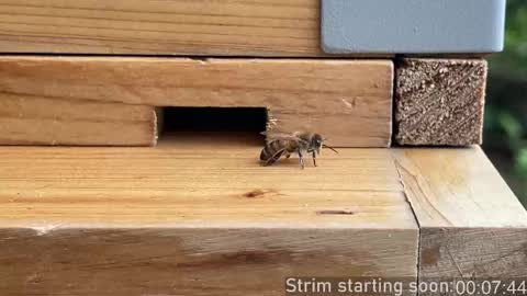 Booker Baxton online show from 10-02-25, 03:02