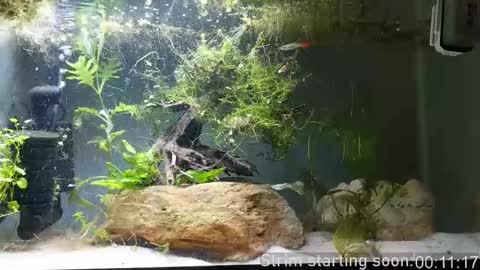 Booker Baxton online show from 11-01-25, 02:57