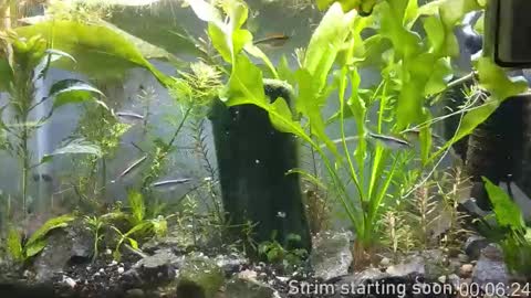 Booker Baxton online show from 11-09-25, 04:00