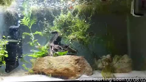 Booker Baxton online show from 11-12-25, 04:02