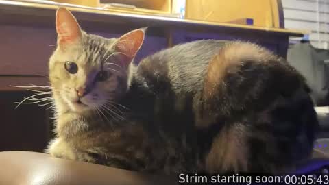 Booker Baxton online show from 02-05-26, 04:06