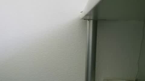 boopye online show from 06-07-26, 10:30