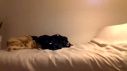 booty4pegging online show from 03-03-25, 05:39