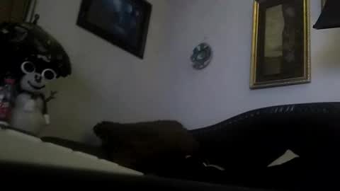 boredaf6678 online show from 12-23-24, 09:05