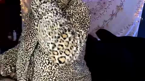 BossMom online show from 12-13-24, 04:33