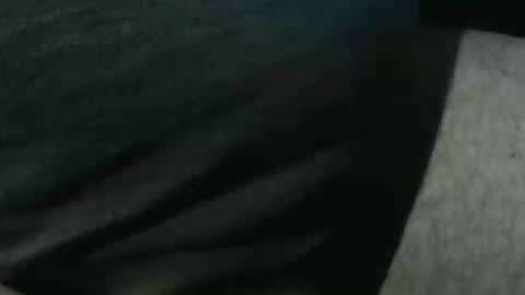 bossram160 online show from 11-04-25, 09:14