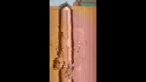 bossusaround online show from 02-09-26, 05:50