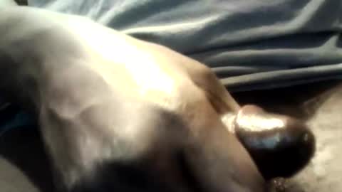 Snapshot of botofogo chatting on 10-12-25, 01:59 botofogo online show from 10-12-25, 01:59