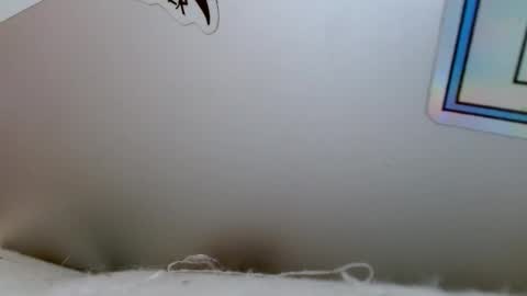 Snapshot of bottom_boiz chatting on 12-18-24, 04:06 Rue online show from 12-18-24, 04:06