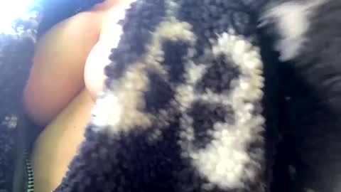 Snapshot of bow2us chatting on 12-02-24, 06:54 Come for the looks stay for the vibe online show from 12-02-24, 06:54