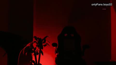 boyc02_ online show from 12-26-24, 12:03