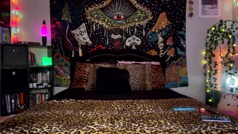 Puddin online show from 12-16-24, 06:53