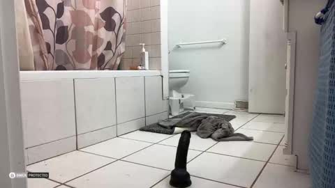 boysetsfire34 online show from 10-08-25, 05:16