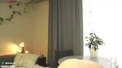 Snapshot of boyturtle chatting on 11-05-25, 10:04 BoyTurtle online show from 11-05-25, 10:04