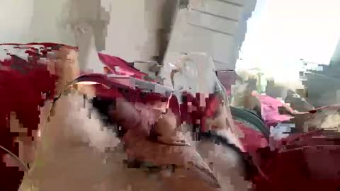 brad2518181 online show from 02-21-25, 06:26