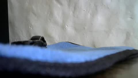 brad2717 online show from 12-18-24, 12:40