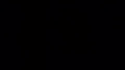 brazilaveaux online show from 02-01-26, 11:36