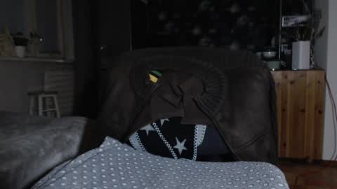 Snapshot of brianmuscle chatting on 12-19-24, 05:40 Brian online show from 12-19-24, 05:40