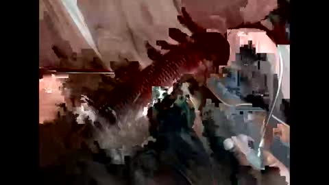 bricchicago online show from 02-22-25, 03:45