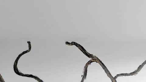 Snapshot of bridgetrodriguez chatting on 01-04-25, 02:46 online show from 01-04-25, 02:46