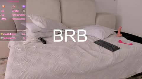 Snapshot of bridgetrodriguez chatting on 02-27-25, 07:04 online show from 02-27-25, 07:04