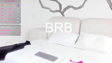 Snapshot of bridgetrodriguez chatting on 03-04-25, 06:29 online show from 03-04-25, 06:29