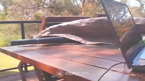 Snapshot of bridie3079 chatting on 10-10-25, 01:15 Fun Monster online show from 10-10-25, 01:15