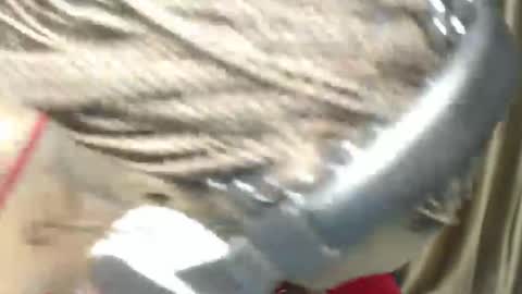 Snapshot of brightebony chatting on 12-07-24, 06:54 Bright online show from 12-07-24, 06:54