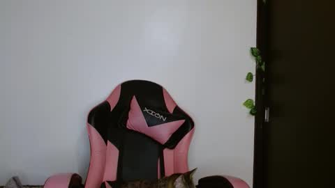 maru miaw   Please help me to reach 100 thumbs up online show from 02-20-26, 04:20