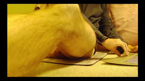 brode3 online show from 01-06-26, 04:05