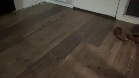 Broke Hung College Guy online show from 02-13-26, 05:47