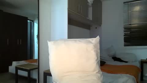 Snapshot of bruce_bigg chatting on 12-31-24, 05:00 Bruce online show from 12-31-24, 05:00