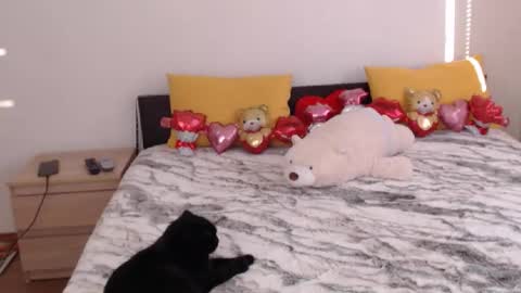 Ellis online show from 02-03-26, 07:02