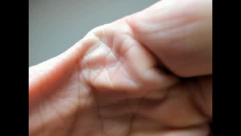 BRUTALMASTER1983 online show from 12-27-24, 06:46