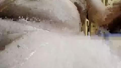 bryancody227 online show from 09-15-25, 03:23