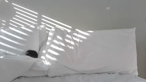 Snapshot of bubblensuck13 chatting on 01-15-25, 11:53 bubblensuck13 online show from 01-15-25, 11:53